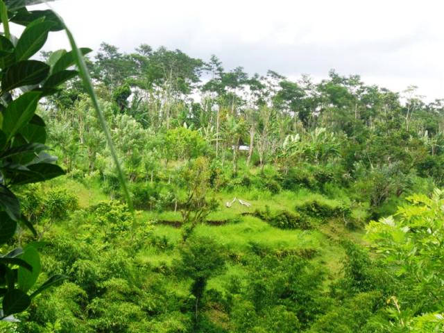 Land For sale in Ubud LUB167