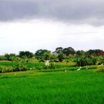 Land for sale in Canggu Bali - LCG077