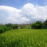 Land for sale in canggu Bali - LCG078