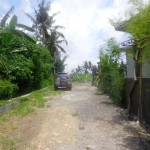 Land for sale in Canggu Bali - LCG080