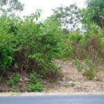 Land for sale in Jimbaran - LJI022