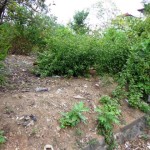 Land for sale in Jimbaran - LJI022