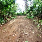 Land for sale in Tabanan Bali LTB013