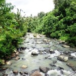Land for sale in Tabanan Bali LTB015