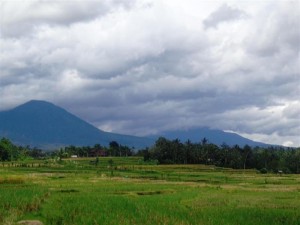 Land for sale in Tabanan Bali LTB016