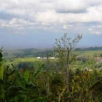 Land for sale in tabanan LTB011