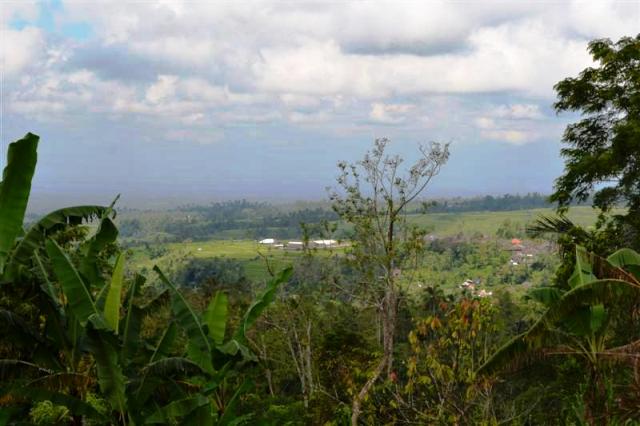 Land for sale in tabanan LTB011
