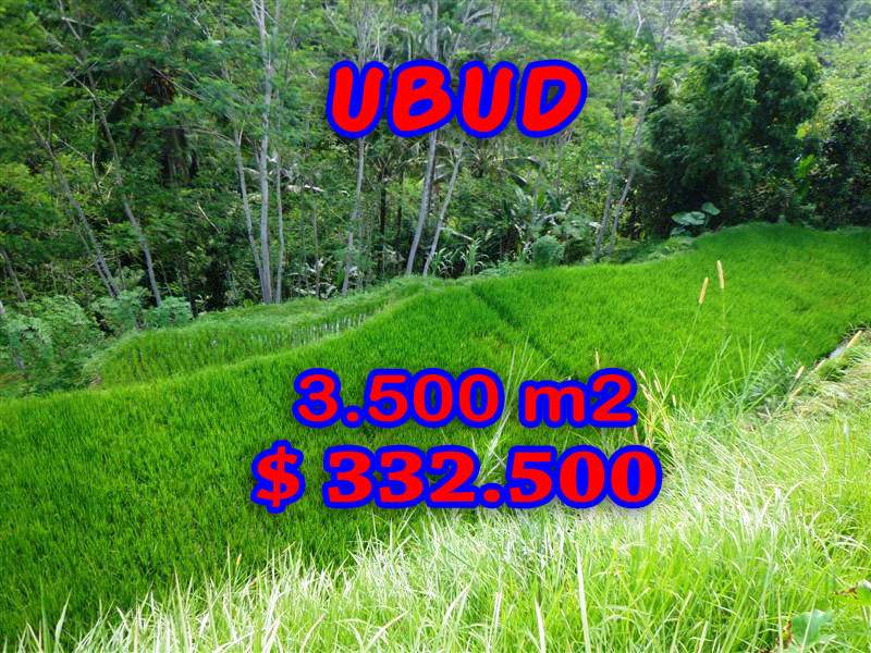 Land-for-sale-in-Ubud