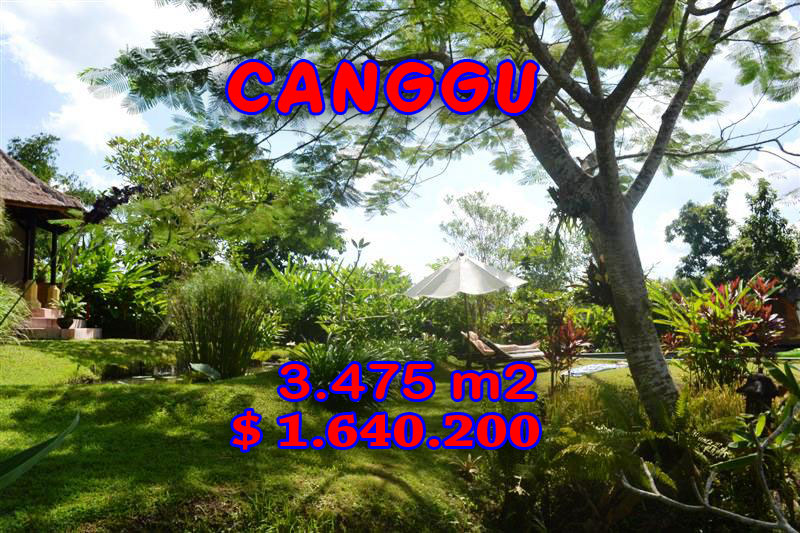 Land in Canggu for sale