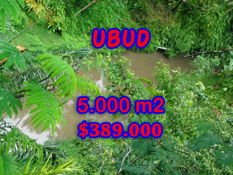 Land-for-sale-in-Ubud-land