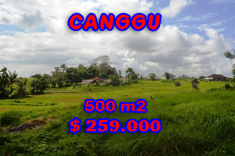 Land for sale in Canggu