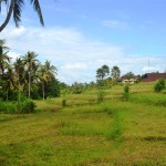 TJCG114 land for sale in Canggu Bali
