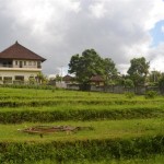 TJCG114 land for sale in Canggu Bali