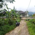 land for sale in Bedugul Tabanan Bali