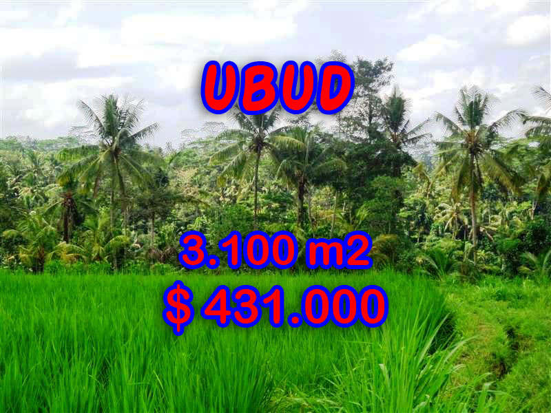 Land-for-sale-in-Ubud-land