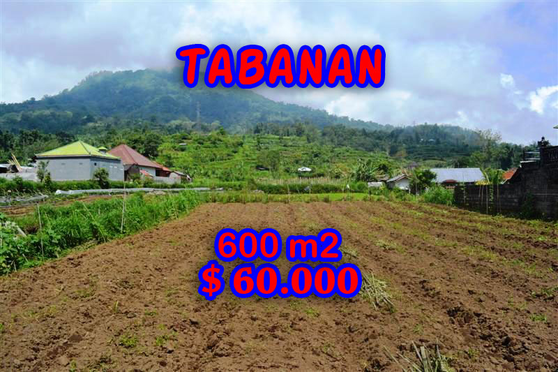 Land for sale in Tabanan land