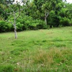land for sale in jimbaran bali