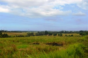 Land for sale in Bedugul Tabanan Bali