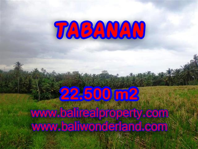 Land in Tabanan for sale