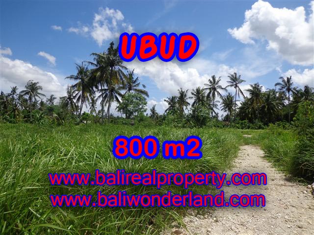Land for sale in Ubud Bali, Great view in Central Ubud – TJUB352