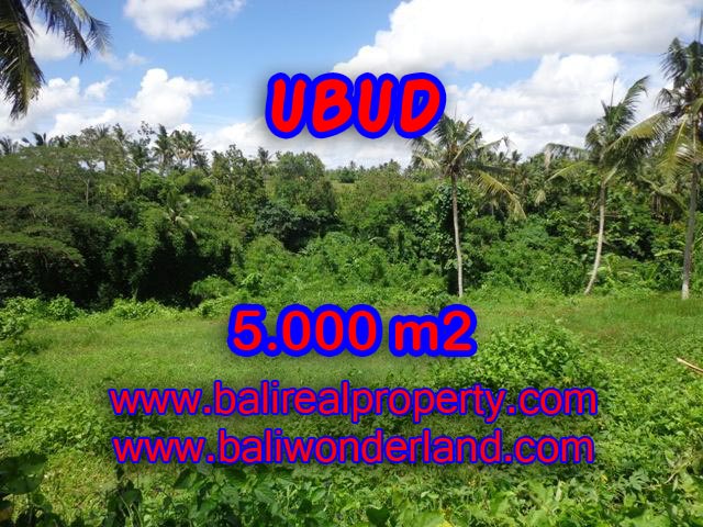 Land for sale in Ubud, Stunning view in Central Ubud Bali – TJUB353