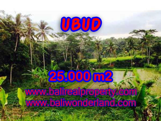 Land in Ubud for sale, Amazing view in Central Ubud Bali – TJUB350