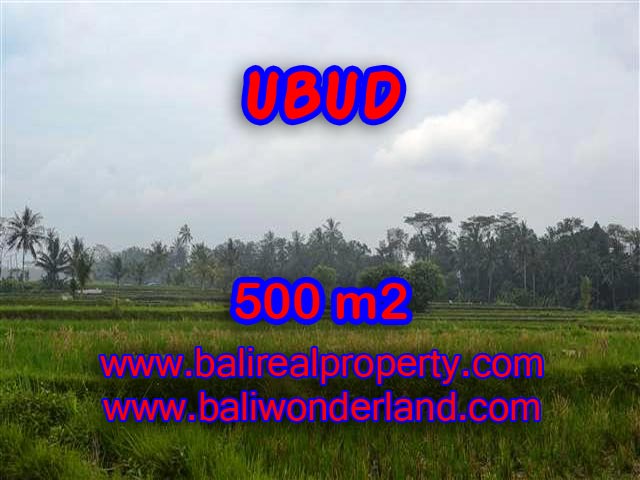 Land for sale in Ubud Bali, Astounding view in Ubud Pejeng – TJUB363