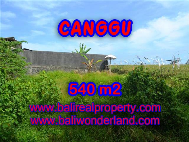 Land for sale in Bali, spectacular view in Canggu Bali – TJCG131