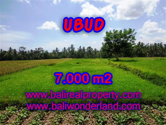 Land in Ubud for sale, Attractive view in Ubud Center Bali – TJUB381