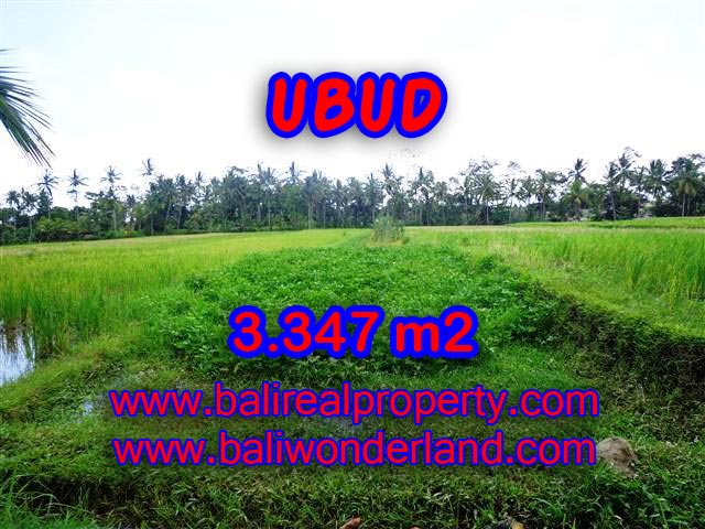 Land in Ubud Bali for sale, Exotic view in Ubud Center – TJUB380