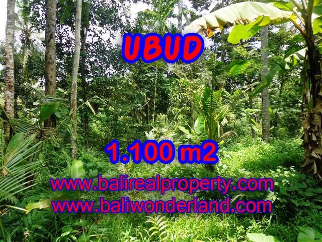Land for sale in Ubud Bali, Unbelievable view in Ubud Tampak siring – TJUB378