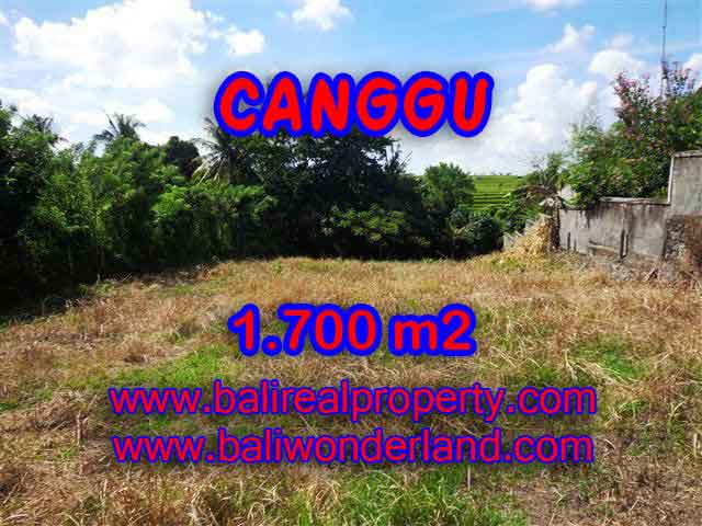 Outstanding Property in Bali for sale, land in Canggu for sale – TJCG143