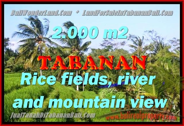 Land for sale in Bali, Fantastic view in Tabanan kediri – TJTB147