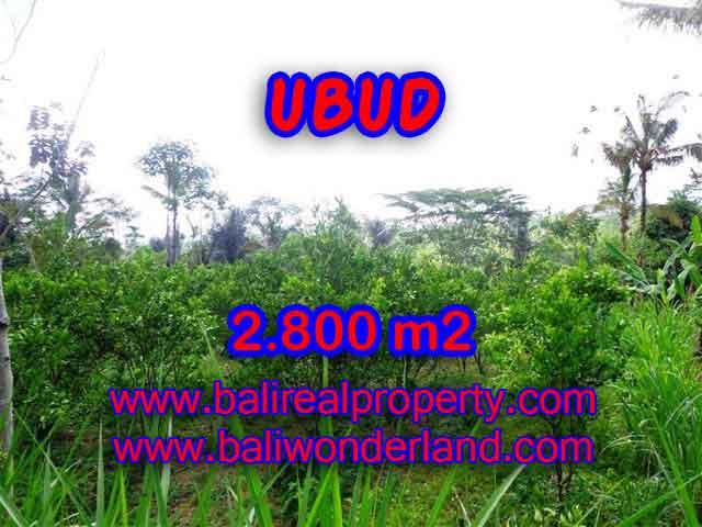 Magnificent Property in Bali for sale, land in Ubud Bali for sale – TJUB375
