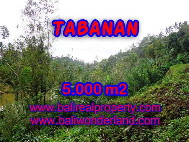 Land in Bali for sale, astounding view in Tabanan Bali – TJTB139