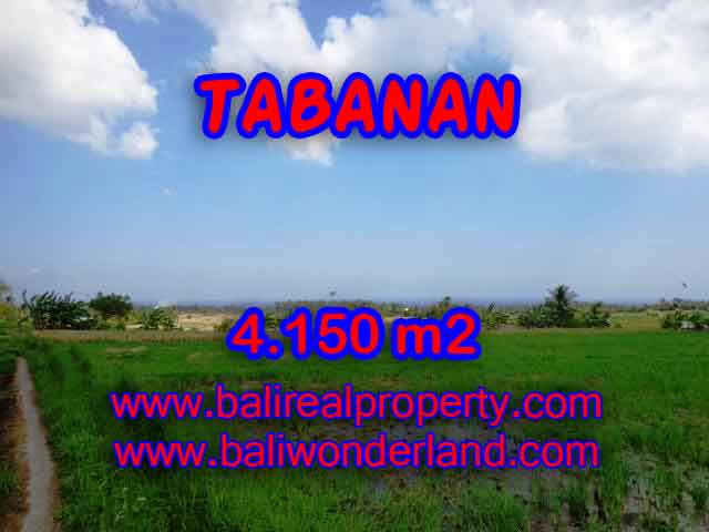 Land for sale in Bali, amazing view in Tabanan selemadeg – TJTB137