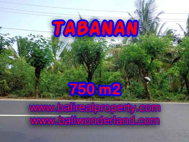 Land for sale in Bali, astonishing view in Tabanan selemadeg Bali – TJTB138