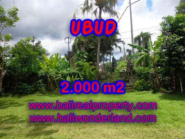 Property sale in Bali, Beautiful land in Ubud for sale – TJUB367