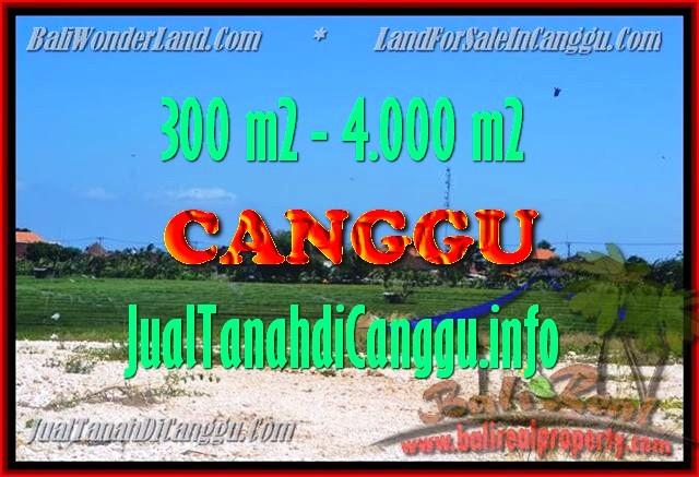 FOR SALE Exotic PROPERTY 300 m2 LAND IN CANGGU TJCG151