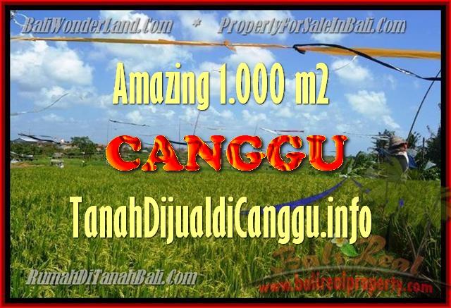 Exotic 1.000 m2 LAND FOR SALE IN CANGGU TJCG154