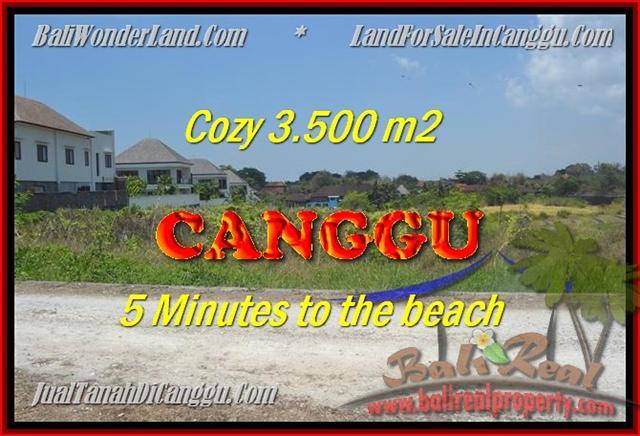 Beautiful PROPERTY 3.500 m2 LAND IN CANGGU BALI FOR SALE TJCG165