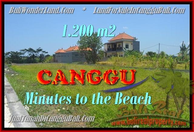 Beautiful CANGGU 1.200 m2 LAND FOR SALE TJCG166