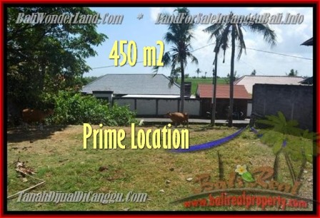 Magnificent PROPERTY 450 m2 LAND IN CANGGU BALI FOR SALE TJCG153