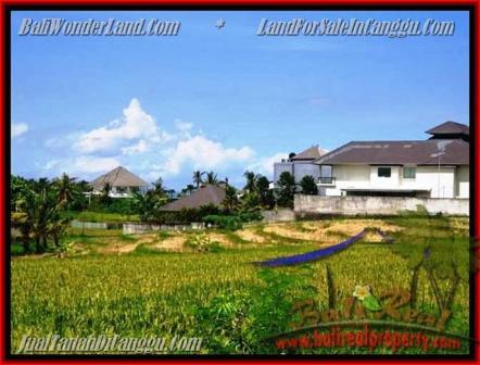 FOR SALE Magnificent LAND IN Canggu Pererenan TJCG146