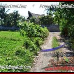 Exotic PROPERTY Canggu Pererenan BALI LAND FOR SALE TJCG184