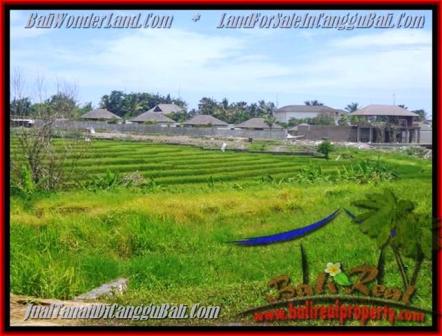 FOR SALE Affordable LAND IN Canggu Cemagi BALI TJCG137