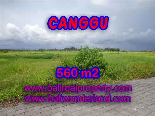 Exotic PROPERTY 560 m2 LAND FOR SALE IN CANGGU BALI TJCG138