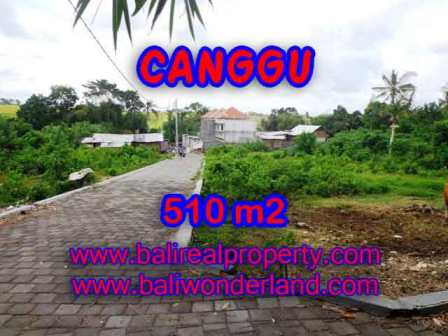 Affordable PROPERTY 510 m2 LAND FOR SALE IN CANGGU BALI TJCG150