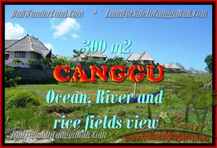 Exotic PROPERTY 980 m2 LAND IN CANGGU BALI FOR SALE TJCG152
