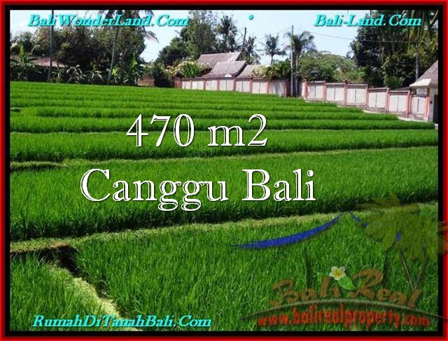 FOR SALE Magnificent PROPERTY LAND IN Canggu Pererenan BALI TJCG187